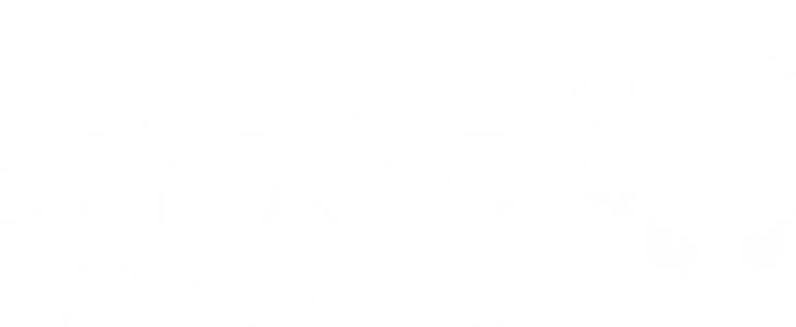 Logo ANSES.